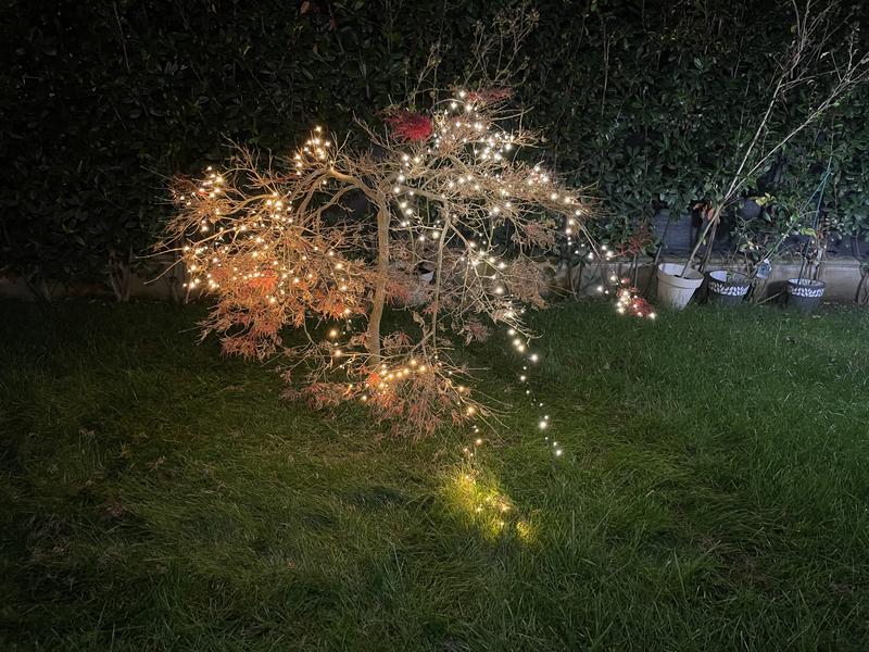 Revisione aperta modale 1 su 3