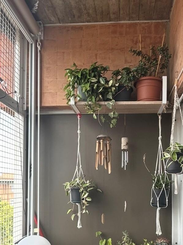 Revisione aperta modale 1 su 1