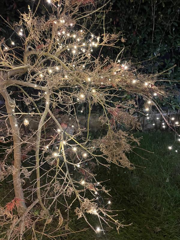 Revisione aperta modale 2 su 3