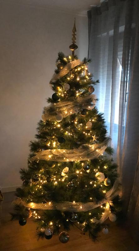 Revisione aperta modale 2 su 2