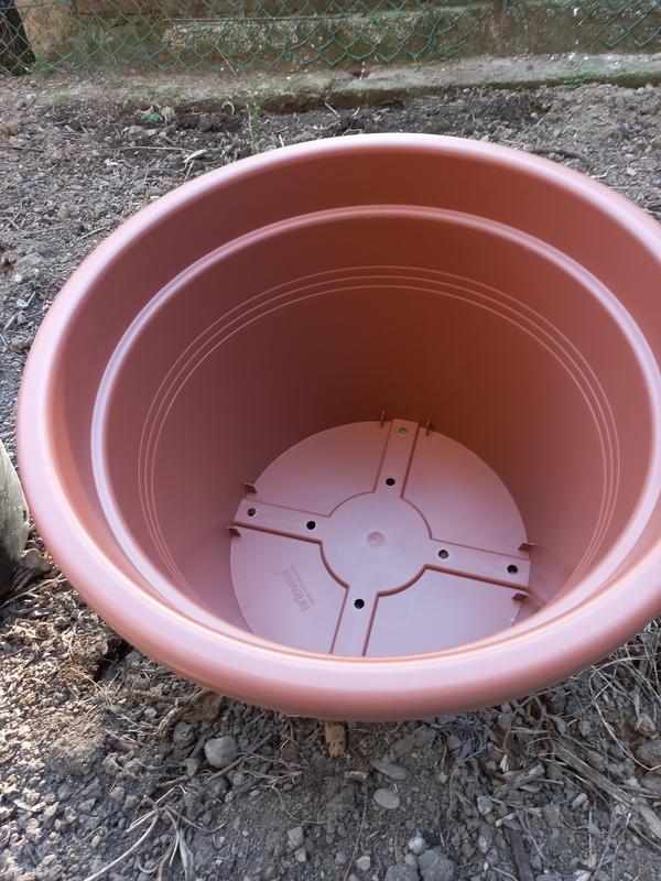 Revisione aperta modale 1 su 3