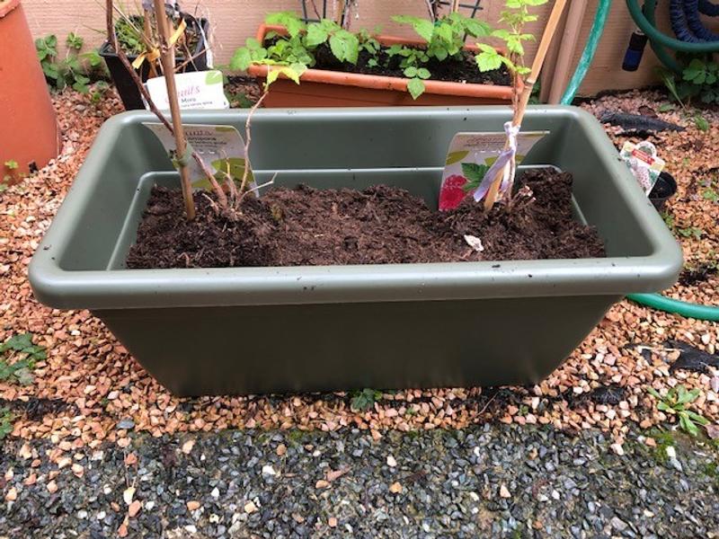 Revisione aperta modale 1 su 1