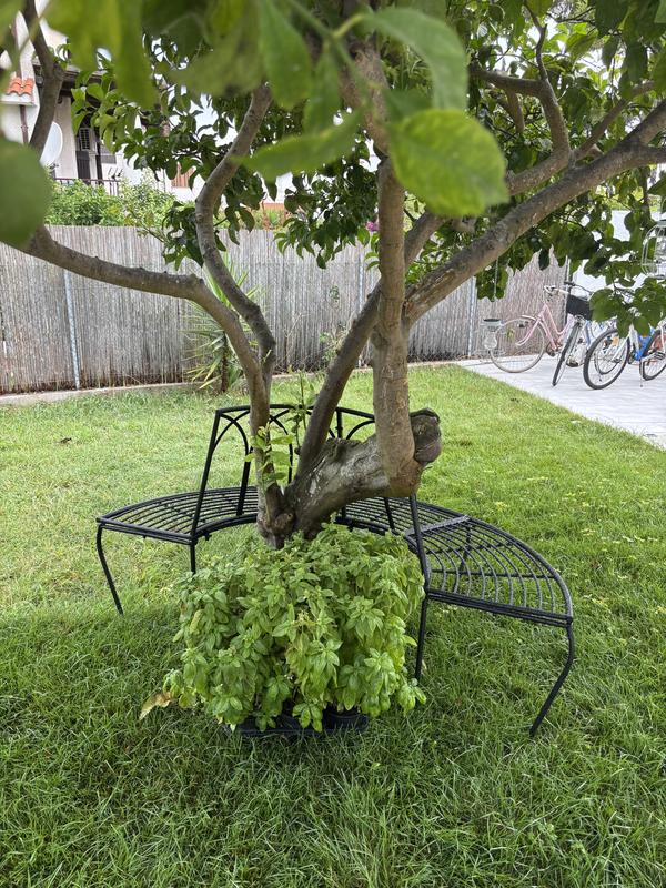 Revisione aperta modale 1 su 1