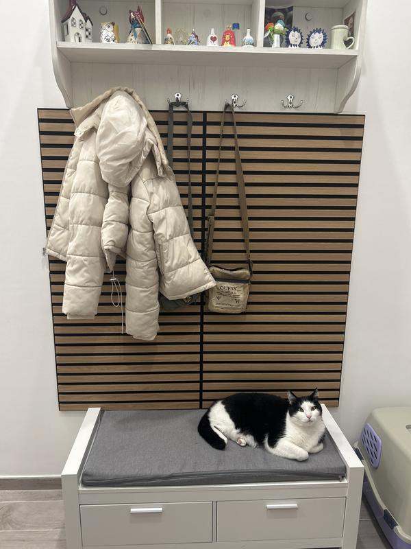 Ouvrir la fenêtre modale de l'avis 1 sur 1