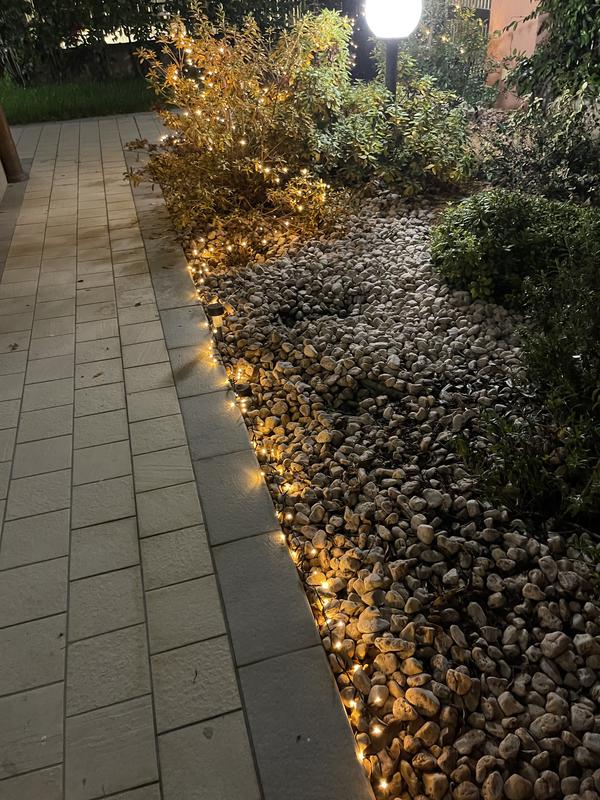 Revisione aperta modale 2 su 4