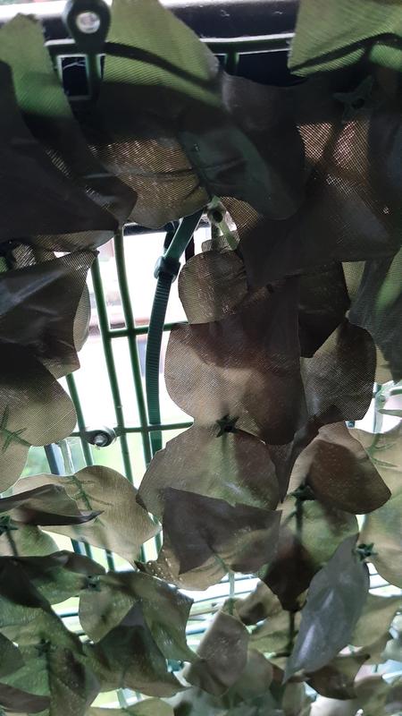 Revisione aperta modale 1 su 2