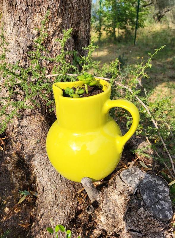 Revisione aperta modale 2 su 2