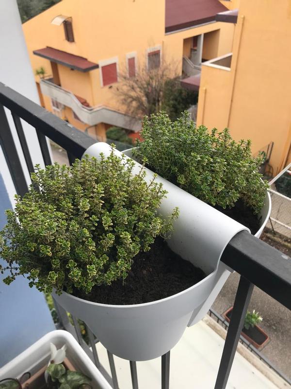 Revisione aperta modale 2 su 3