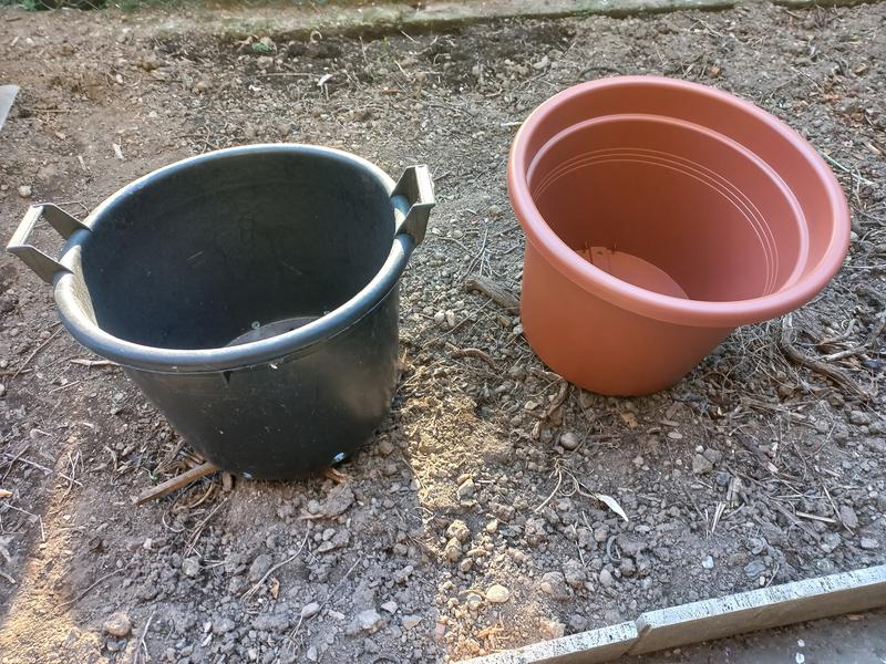 Revisione aperta modale 3 su 3