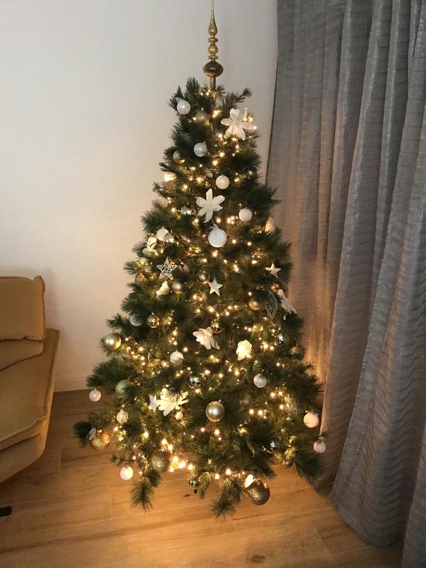 Revisione aperta modale 1 su 2