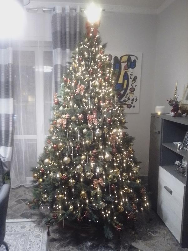 Revisione aperta modale 1 su 1