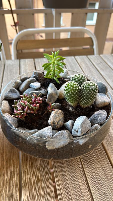 Revisione aperta modale 1 su 1