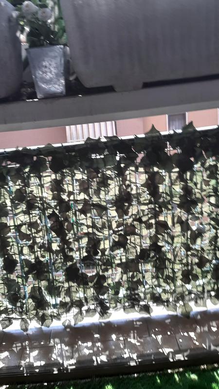 Revisione aperta modale 1 su 2