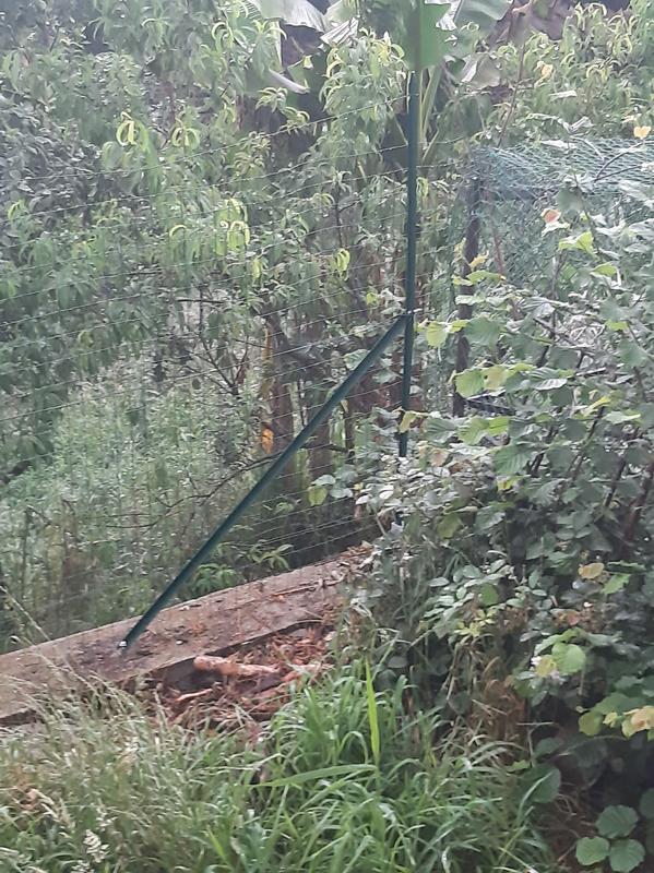 Ouvrir la fenêtre modale de l'avis 1 sur 1