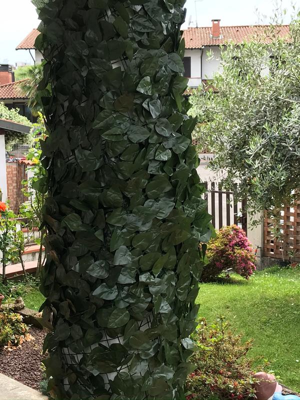 Revisione aperta modale 4 su 4