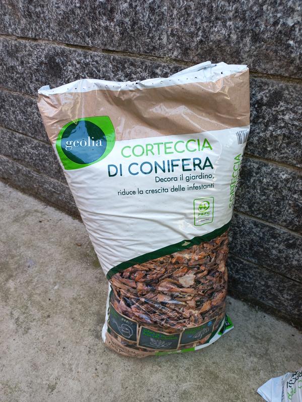 Revisione aperta modale 1 su 4