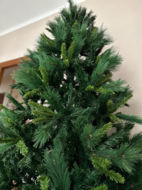 Revisione aperta modale 1 su 1