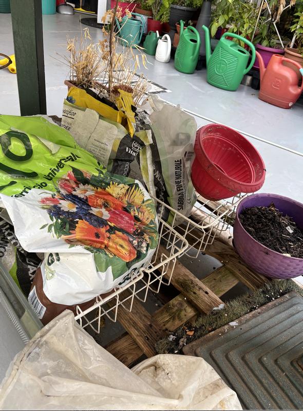 Revisione aperta modale 1 su 2