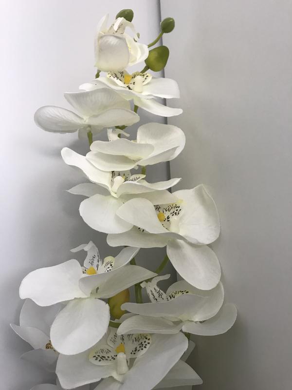 Revisione aperta modale 1 su 1