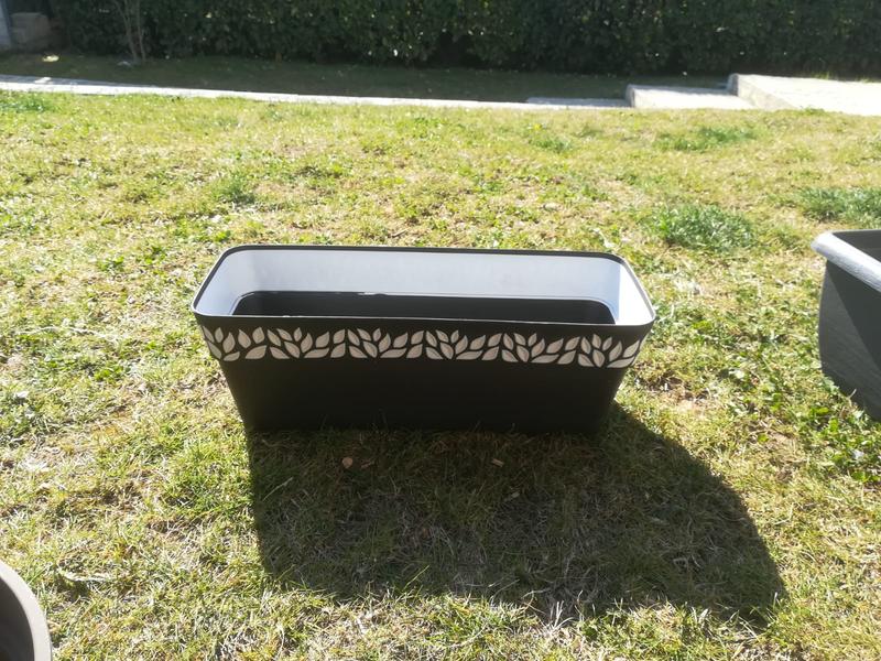 Revisione aperta modale 1 su 1