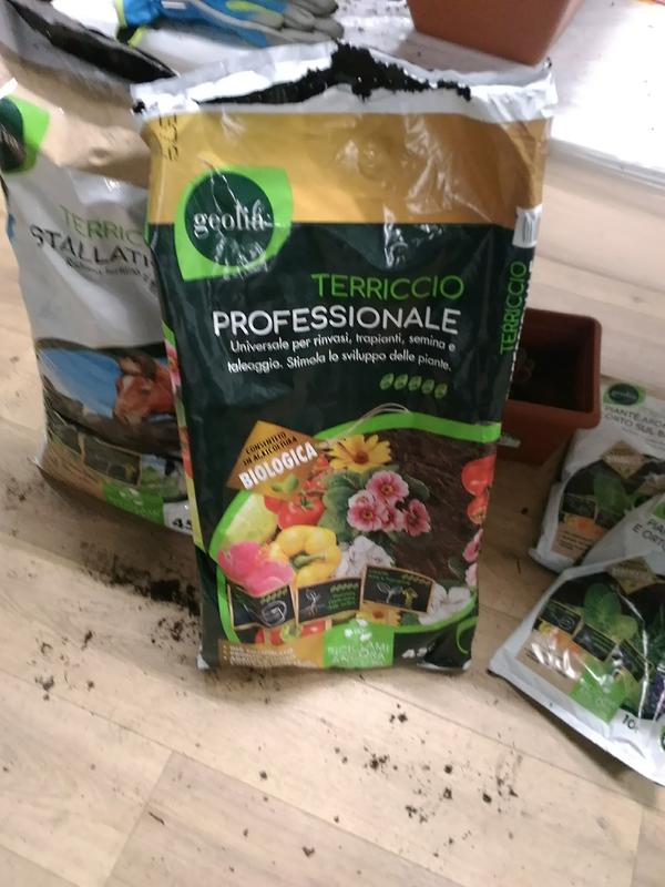 Revisione aperta modale 1 su 1