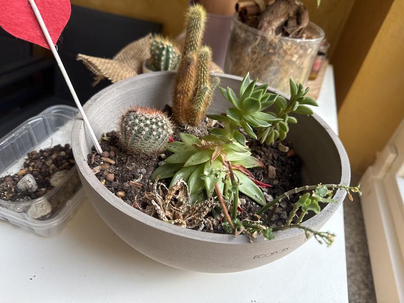 Revisione aperta modale 1 su 1