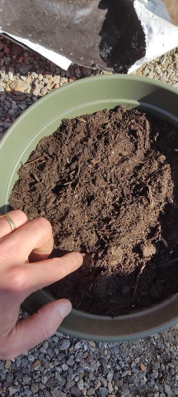 Revisione aperta modale 2 su 2