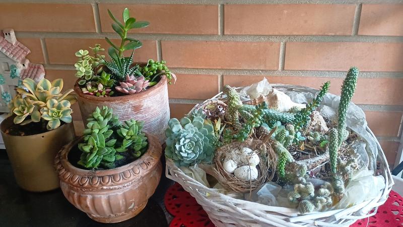 Revisione aperta modale 1 su 1