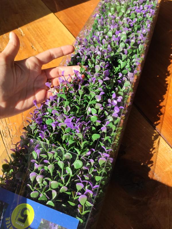 Revisione aperta modale 5 su 5