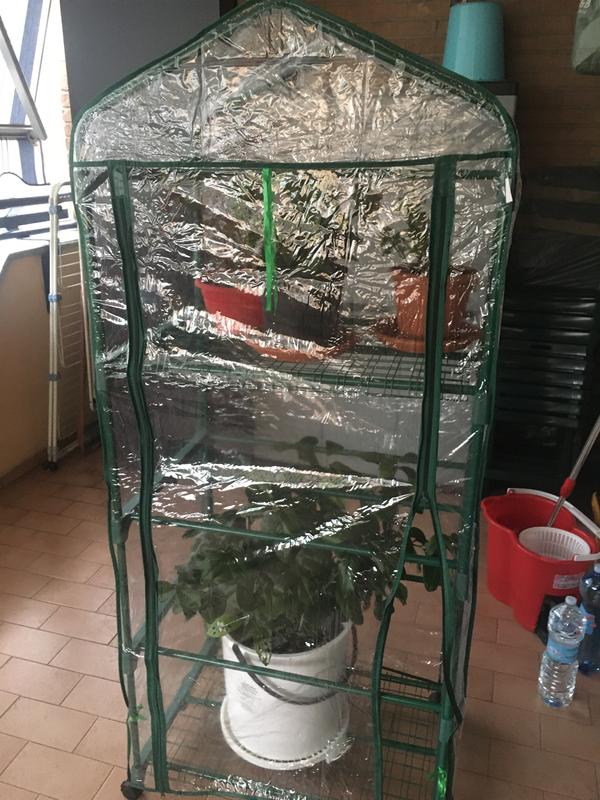 Revisione aperta modale 1 su 1