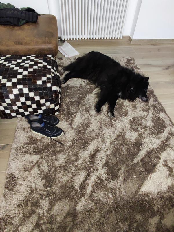 Revisione aperta modale 1 su 1