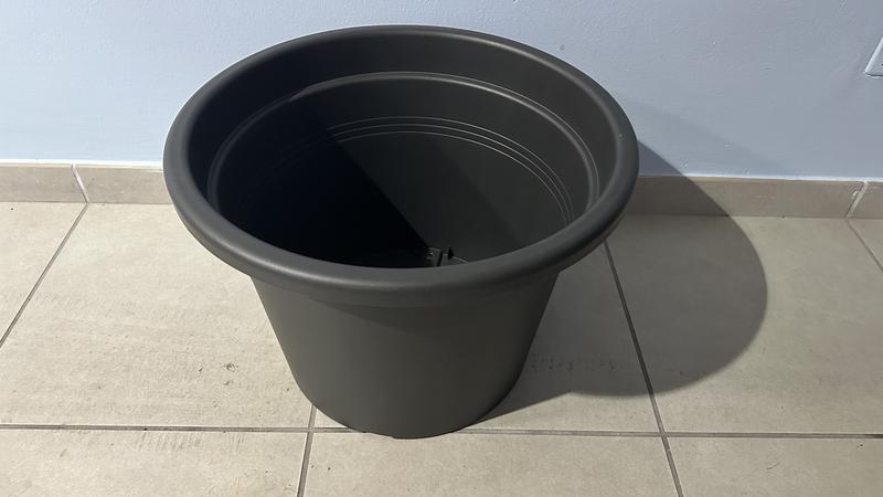 Revisione aperta modale 1 su 2