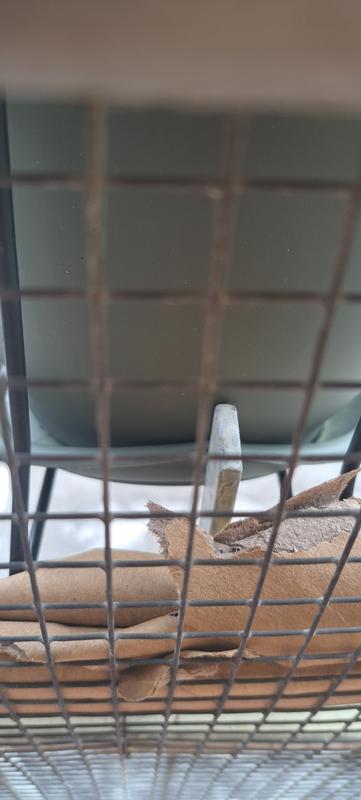 Revisione aperta modale 2 su 2