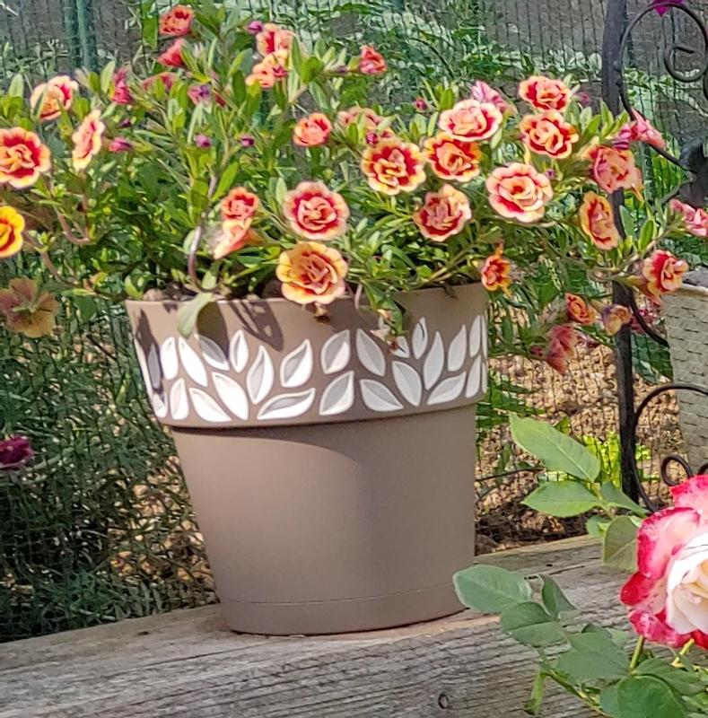 Revisione aperta modale 3 su 3