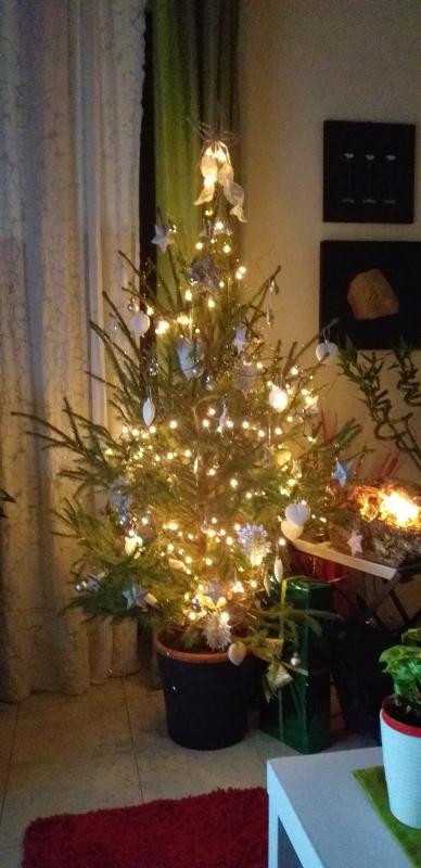 Revisione aperta modale 1 su 1