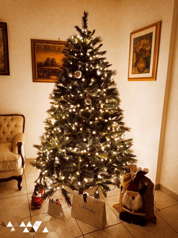 Revisione aperta modale 1 su 1