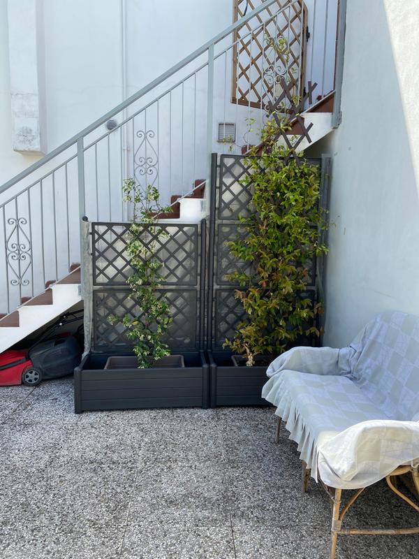 Revisione aperta modale 1 su 1