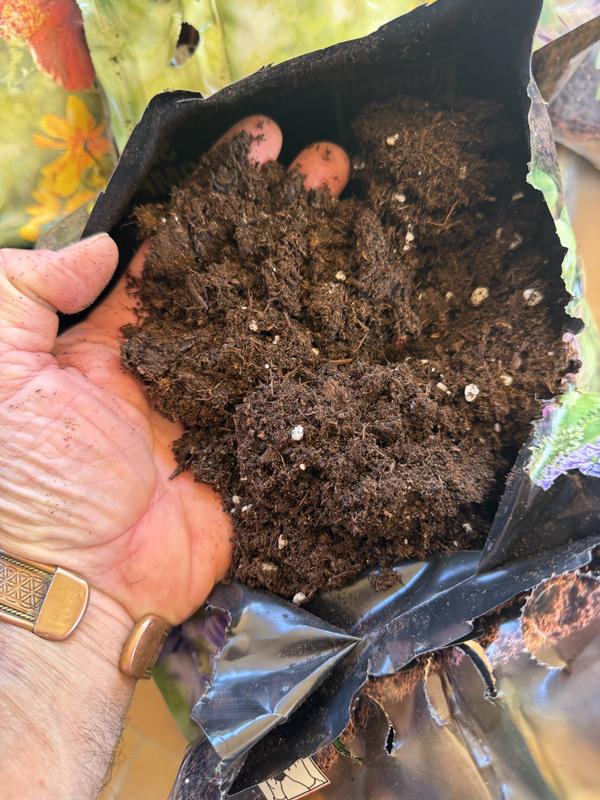 Revisione aperta modale 1 su 1