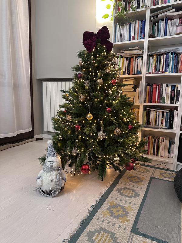 Revisione aperta modale 2 su 2