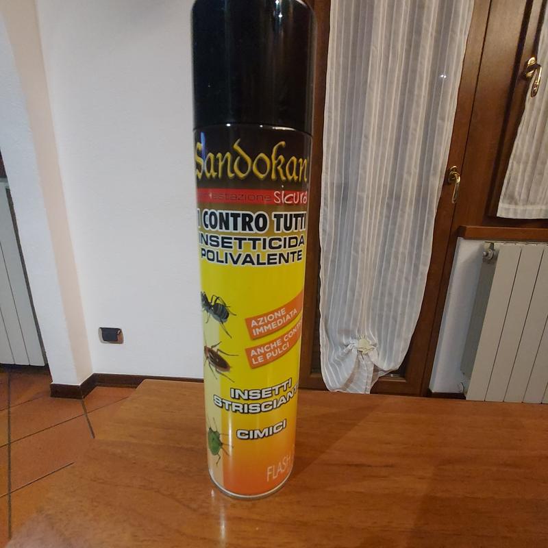 Revisione aperta modale 1 su 1