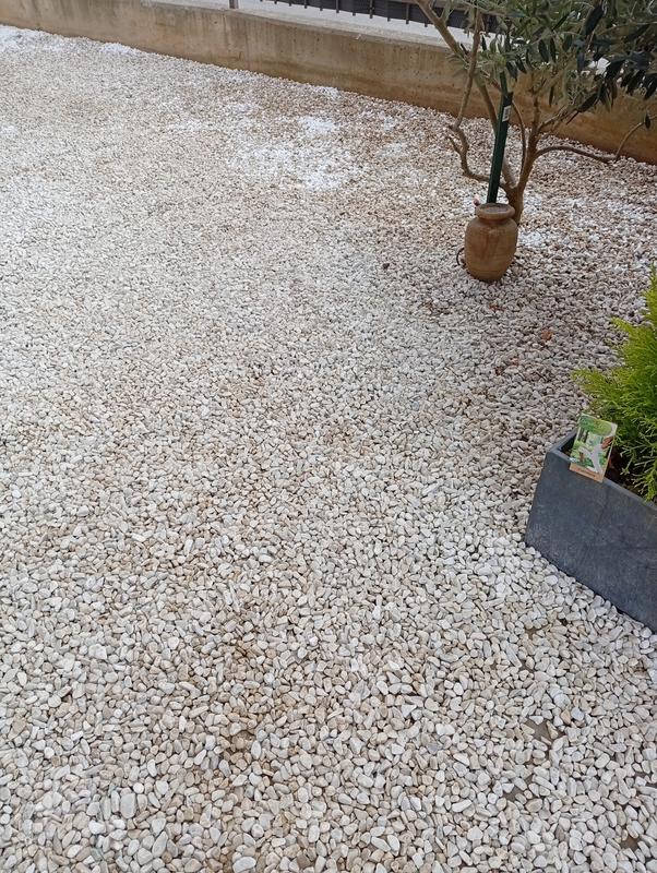 Revisione aperta modale 1 su 1
