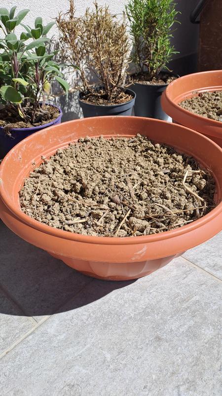 Revisione aperta modale 1 su 1