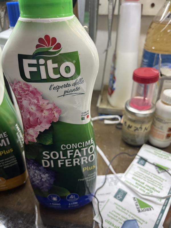 Revisione aperta modale 1 su 1