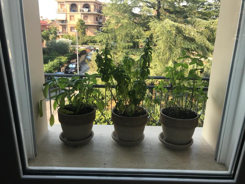 Revisione aperta modale 1 su 1