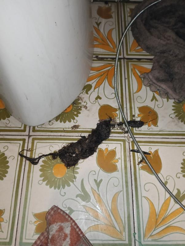 Revisione aperta modale 1 su 1