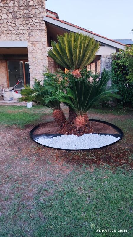 Revisione aperta modale 1 su 1