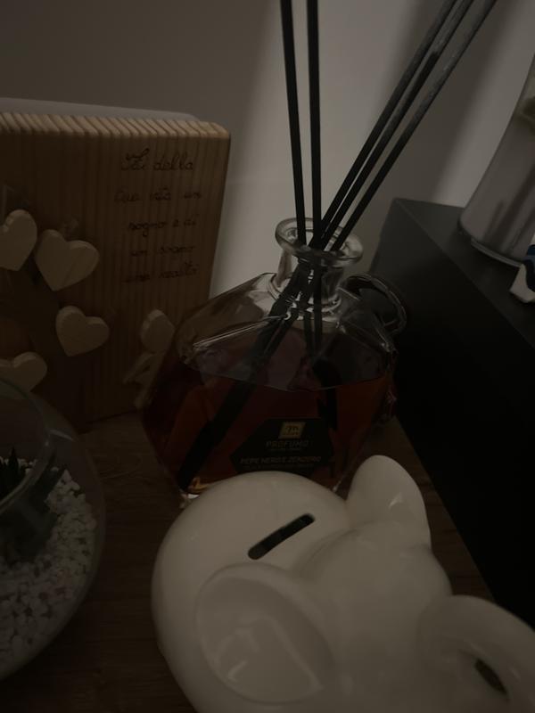 Revisione aperta modale 1 su 1