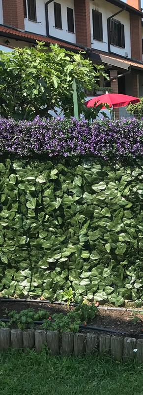 Revisione aperta modale 1 su 4