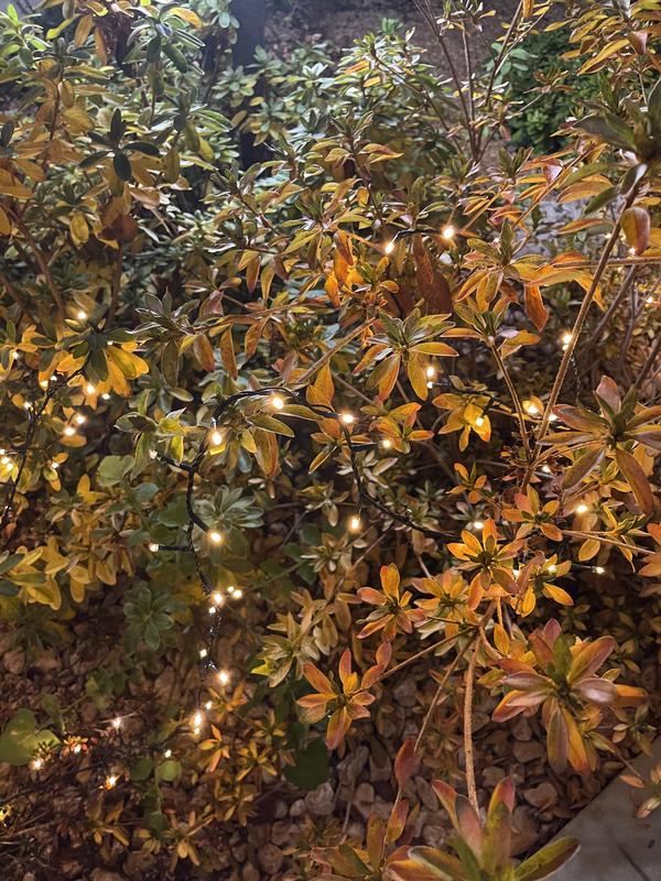 Revisione aperta modale 4 su 4