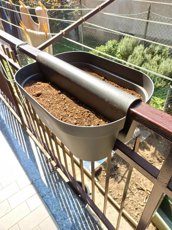 Revisione aperta modale 3 su 5